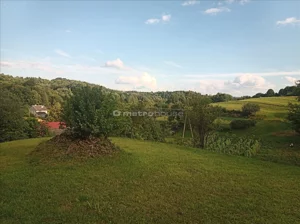 Działka 5 300,00 m², Nienadowa, Sprzedaż