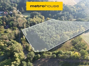 Działka 13 200,00 m², Nowa Wieś, Sprzedaż