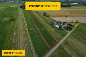 Działka 12 000,00 m², Nowe Rowiska, Sprzedaż