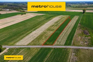 Działka 8 400,00 m², Nowe Rowiska, Sprzedaż