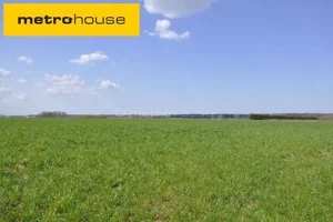 Działka 45 000,00 m², Nowy Dwór, Sprzedaż