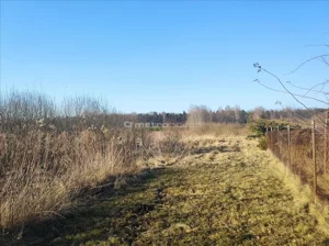 Działka 1 500,00 m², Nowy Prażmów, Sprzedaż