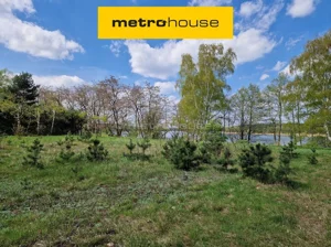 Działka 12 600,00 m², Orle, Wynajem