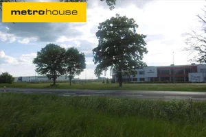 Działka 40 034,00 m², Ostaszewo, Sprzedaż