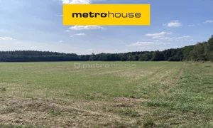 Działka 30 248,00 m², Ostrowina, Sprzedaż