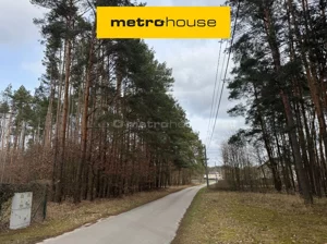 Działka 20 550,00 m², Pągowiec, Sprzedaż