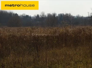 Działka 9 100,00 m², Paprotnia, Sprzedaż