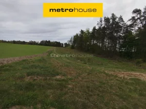 Działka 14 790,00 m², Dębnica Kaszubska, Parkowa, Sprzedaż