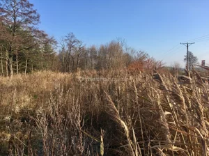 Działka 5 581,00 m², Parzniew, Sprzedaż