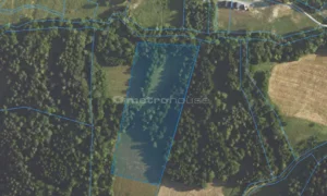 Działka 19 716,00 m², Paszowa, Sprzedaż