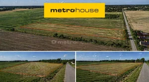 Działka 3 900,00 m², Piaski, Sprzedaż