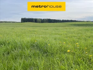 Działka 3 213,00 m², Pieczarki, Sprzedaż