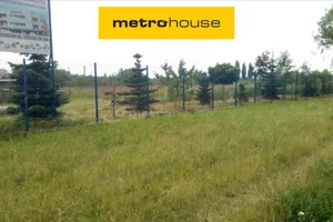 Działka 9 999,00 m², Piotrków Trybunalski, Sprzedaż