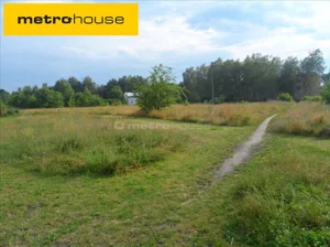 Działka 13 200,00 m², Plecewice, Sprzedaż