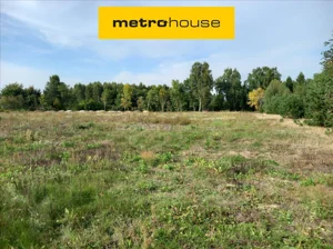 Działka 11 339,00 m², Pogorzałe Ługi, Sprzedaż