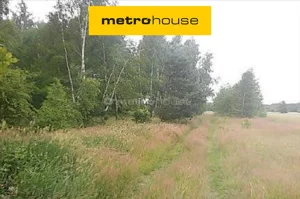 Działka 9 400,00 m², Polesie, Sprzedaż
