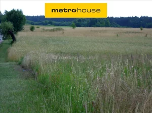 Działka 21 392,00 m², Polska Wieś, Sprzedaż