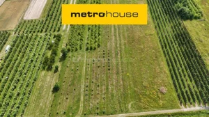 Działka 49 964,00 m², Potycz, Sprzedaż