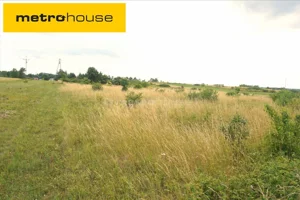 Działka 6 788,00 m², Radomice, Sprzedaż