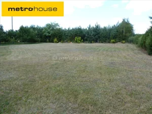 Działka 3 200,00 m², Rogowo, Sprzedaż