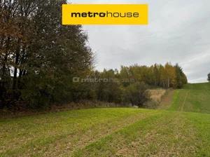 Działka 5 000,00 m², Rozdoły, Sprzedaż