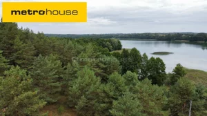 Działka 9 805,00 m², Rybno, Sprzedaż