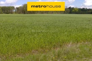 Działka 1 180,00 m², Rybno Wielkie, Sprzedaż