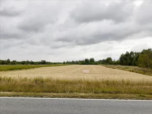 Działka 6 756,00 m², Sarzyna, Sprzedaż