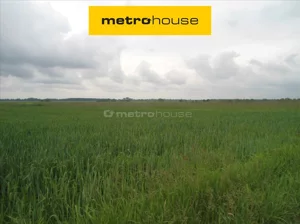 Działka 81 386,00 m², Silna, Sprzedaż