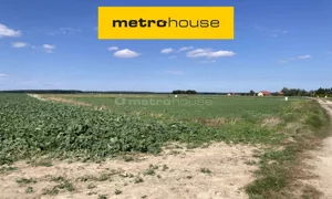 Działka 28 300,00 m², Sokołowice, Sprzedaż