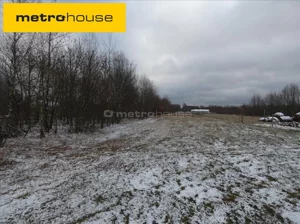 Działka 5 113,00 m², Sowia Wola, Sprzedaż