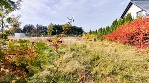 Działka 1 246,00 m², Nieżywięć, Spokojna, Sprzedaż
