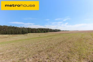 Działka 1 501,00 m², Spore, Sprzedaż