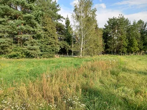 Działka 1 000,00 m², Stary Dwór, Sprzedaż