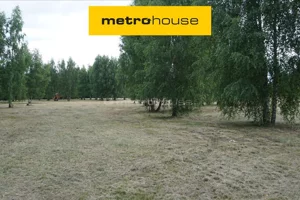 Działka 1 520,00 m², Szczechy Małe, Sprzedaż