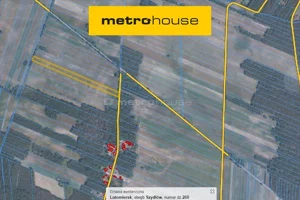 Działka 10 100,00 m², Szydłów, Sprzedaż