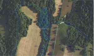 Działka 6 782,00 m², Teleśnica Oszwarowa, Sprzedaż