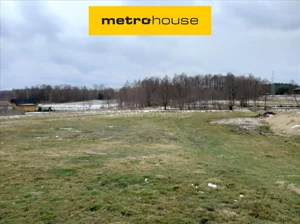 Działka 2 480,00 m², Tomaszówek, Sprzedaż