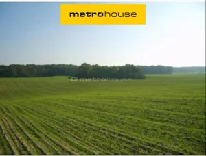 Działka 121 250,00 m², Trzcielin, Sprzedaż