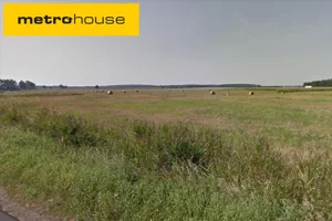 Działka 45 100,00 m², Trzcielin, Sprzedaż