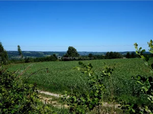 Działka 2 300,00 m², Tyczyn, Sprzedaż