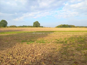 Działka 4 400,00 m², Wierzchoniów, Sprzedaż