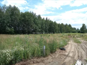 Działka 994,00 m², Wola Grzymkowa, Sprzedaż