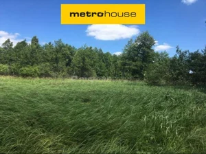 Działka 12 794,00 m², Wola Kanigowska, Sprzedaż