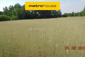 Działka 13 000,00 m², Wólka Smolana, Sprzedaż