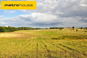 Działka 3 261,00 m², Woryty, Sprzedaż