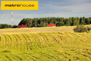 Działka 3 437,00 m², Woryty, Sprzedaż