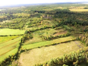 Działka 8 200,00 m², Żarnowska, Sprzedaż