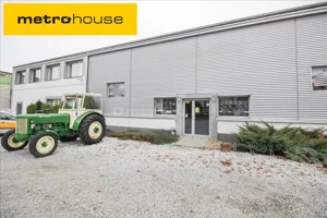 Obiekt 600,00 m², Buczek, Wynajem