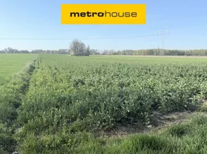 Obiekt 42 800,00 m², Krubin, Sprzedaż